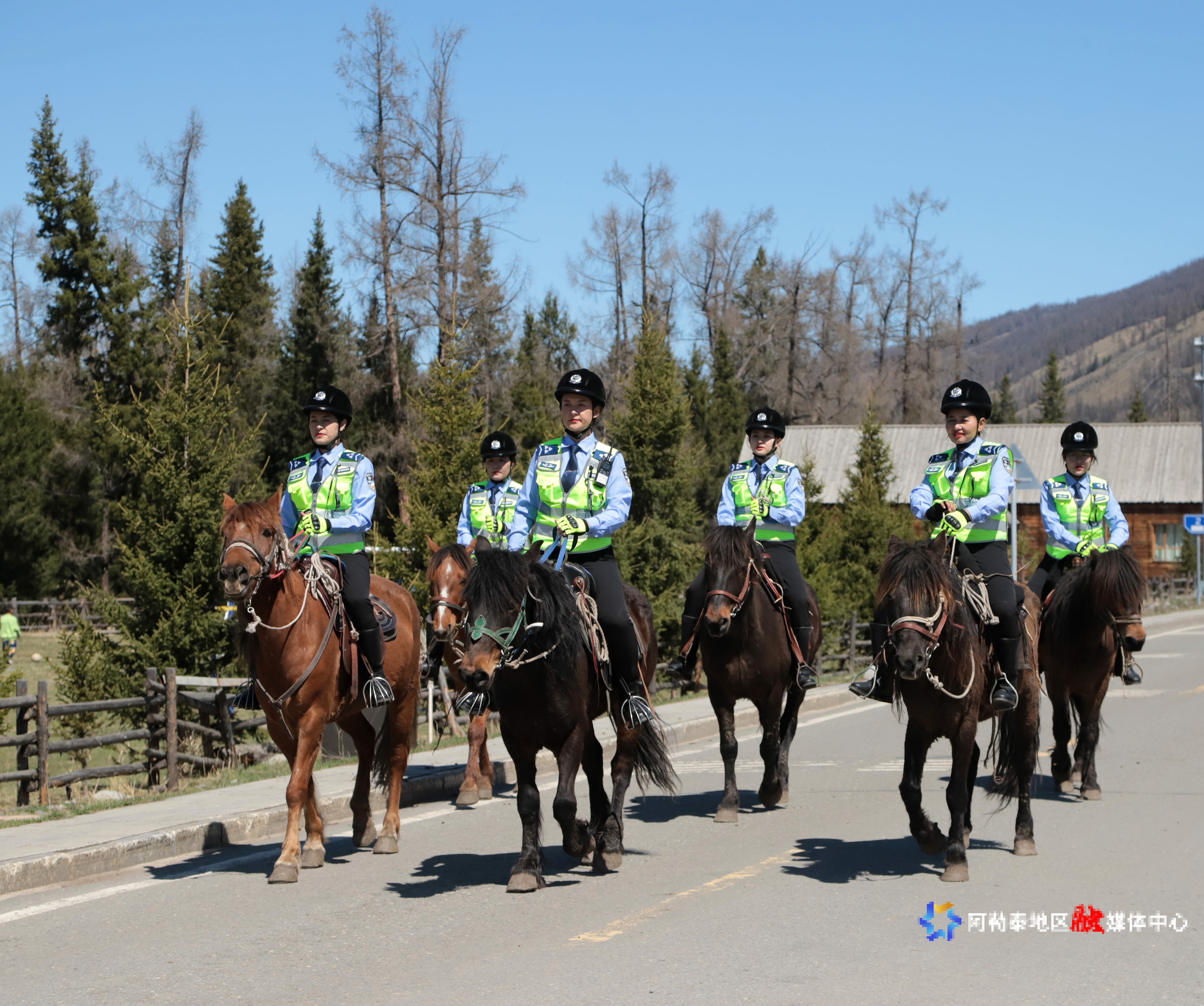 66509ddde717fb3f33f50382ab0073b6